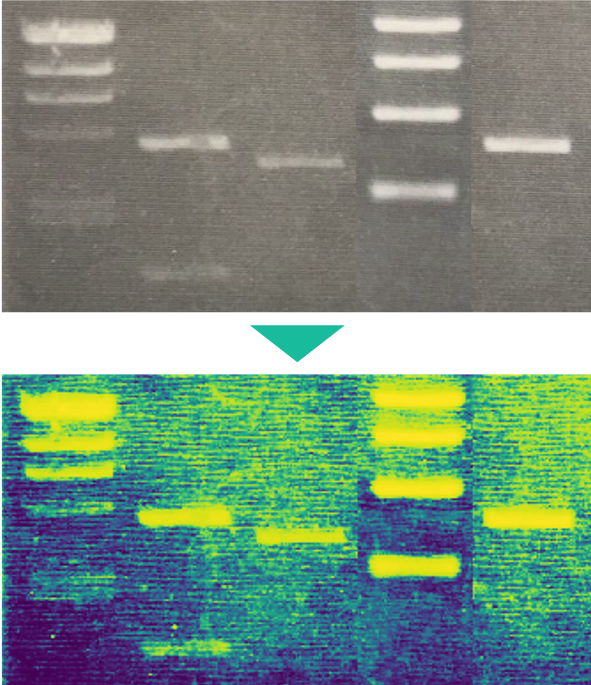 Histogram Equalization